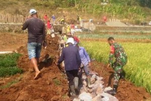 Babinsa Koramil Cilimus saat membantu warga membangun salurann irigasi.